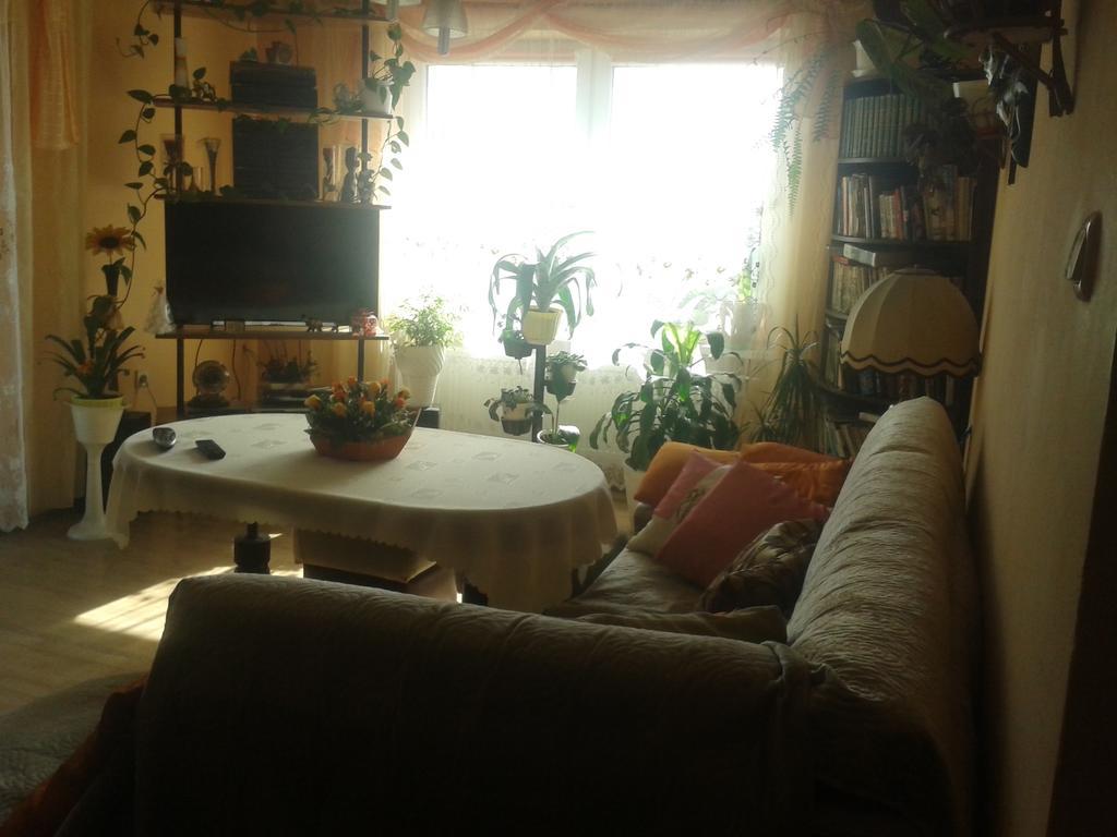 Ferienwohnung Dom Pod Roza Löschney Exterior foto